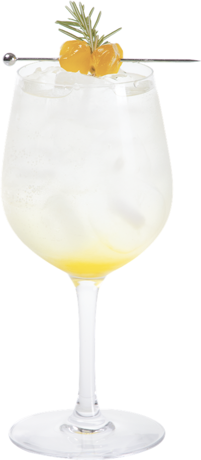 Gin Tonic Zen