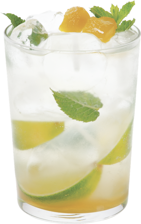 Spice Mojito