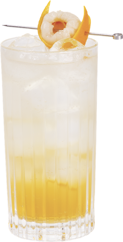 Gin Tonic Litchi