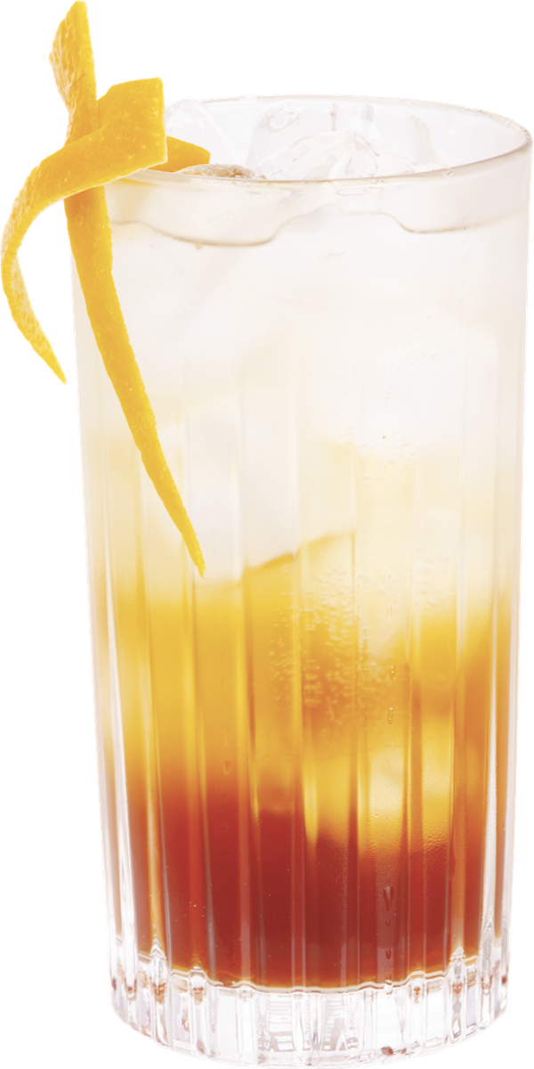 Gin Tonic Tamarindo